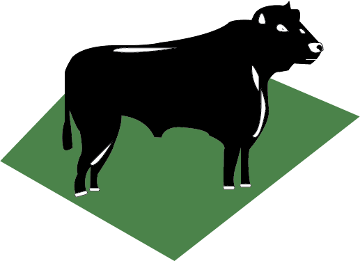 This is a graphic of a Gila Valley Black Angus.