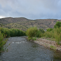 Gila River flowing from the Gila National Forest. Photo Credits: Mary Harner