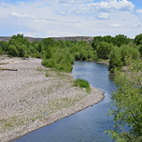 Gila River channel from the Iron Bridge, looking downstream, near Cliff, New Mexico. Photo Credits: Mary Harner