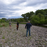 Fugagli’s and Rosdail walk along the channel of the Gila River at low flow to the hum of incessant mosquitos. Photo Credits: Mary Harner