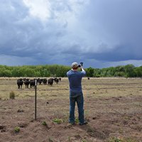 Jacob Rosdail filming cattle with an Osmo handheld camera before an incoming storm. Photo Credits: Mary Harner